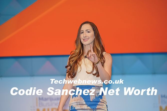 Codie Sanchez Net Worth